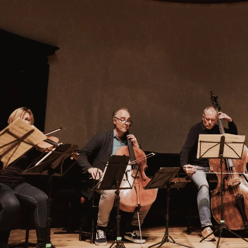 Rachel Roberts on viola, Graham Mitchell on Double bass and Adrian Brendel on cello performing with The Nash Ensemble