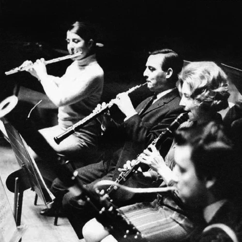 The Nash Ensemble
