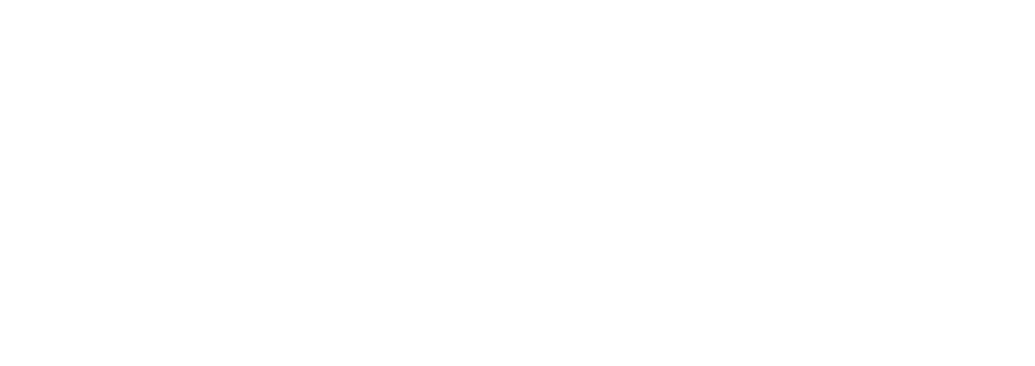 The Nash Ensemble Logo